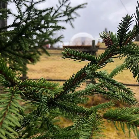 Wildglampingarieseni Campismo de Luxo Arieşeni