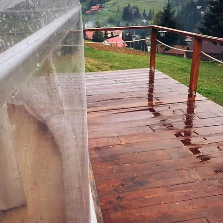 Wildglampingarieseni Arieşeni